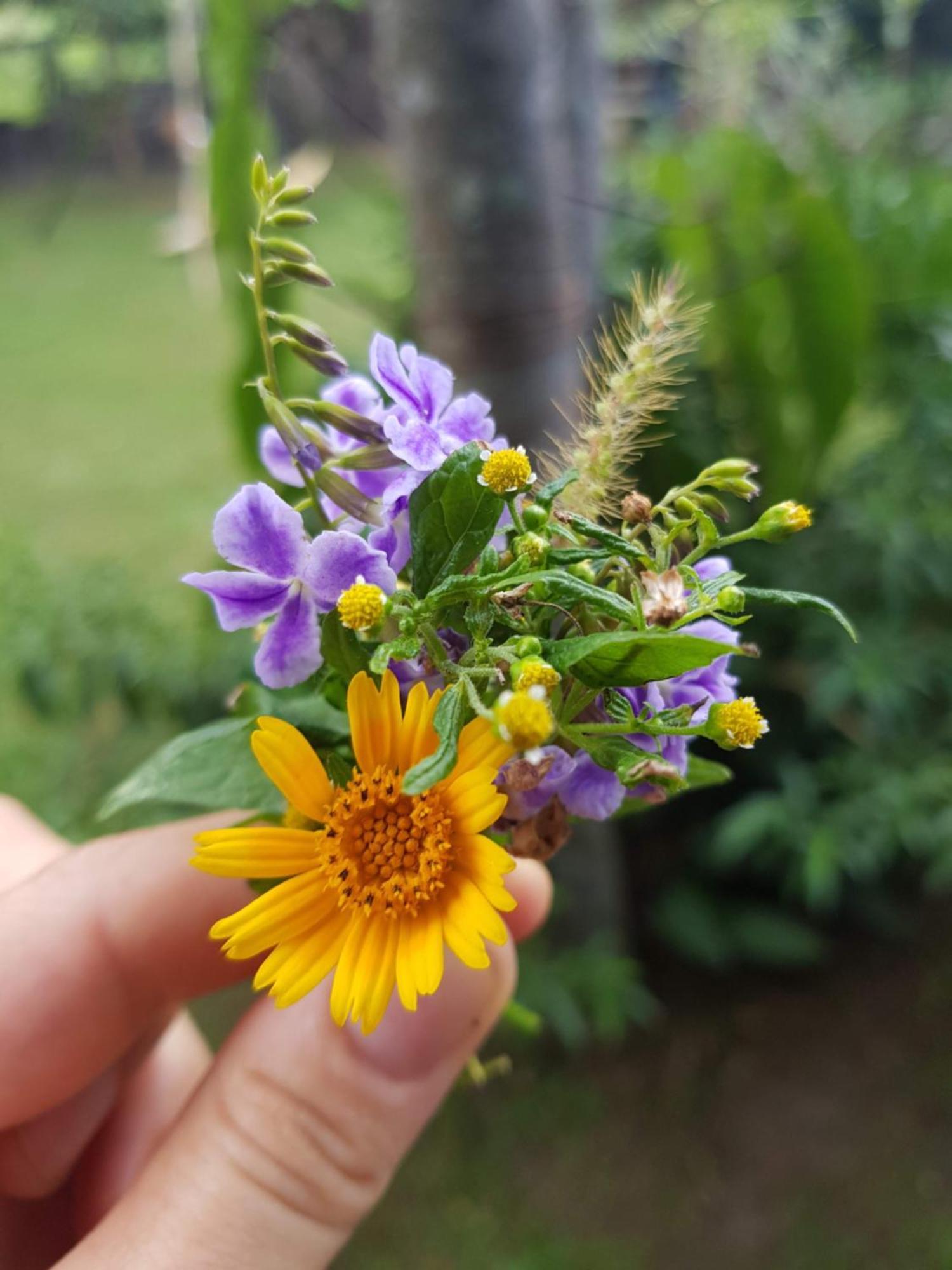 Pousada Vila Guyra 호텔 Florianópolis 외부 사진